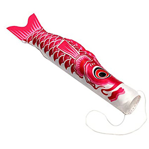 Banners, Kites and Windsocks